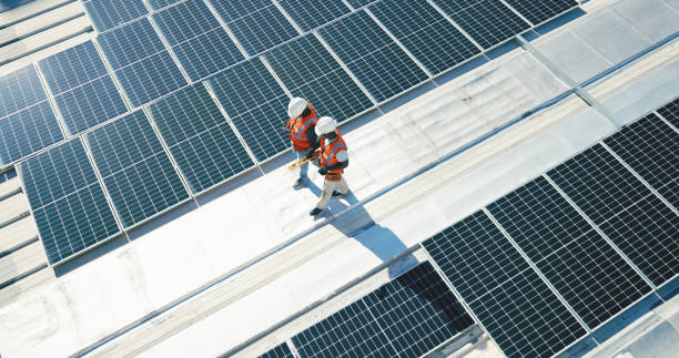 Best Roof Maintenance and Cleaning  in Three Way, TN
